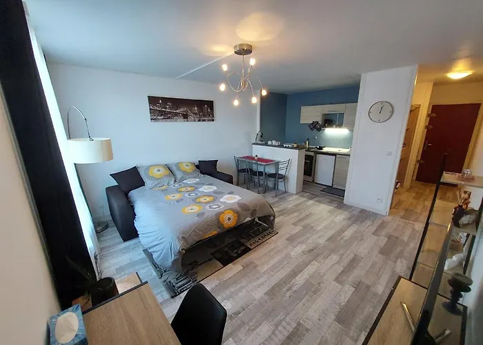 Appartement Equipe Proche Aeroport Et Gare