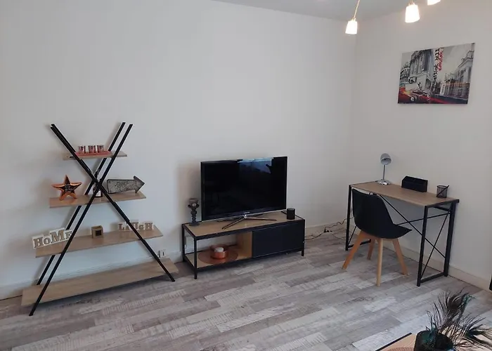 Appartement Equipe Proche Aeroport Et Gare