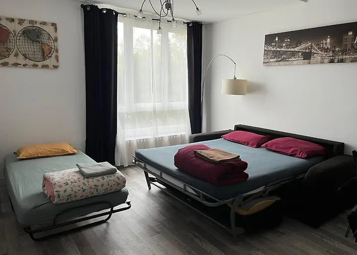 Appartement Equipe Proche Aeroport Et Gare